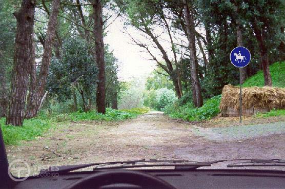 Pergunta IMT: Posso transitar na via onde se encontra colocado o sinal vertical.