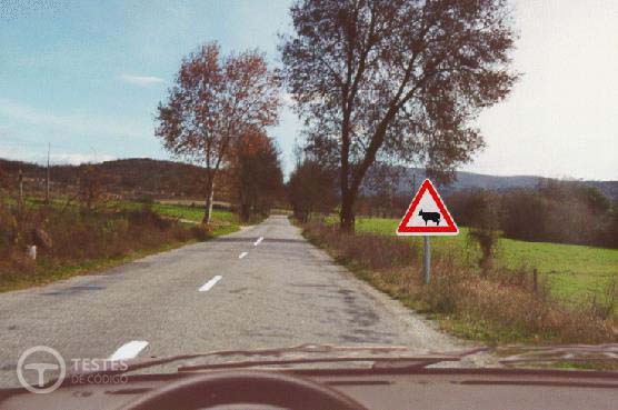 Pergunta IMT: Perante o sinal devo: