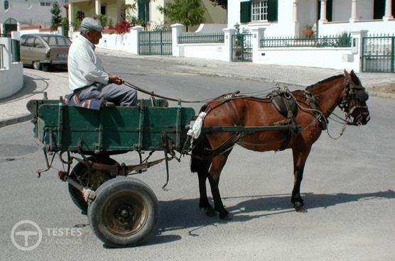 Pergunta IMT: Ao transitar na via pública o veículo de tracção animal está sujeito a matrícula?