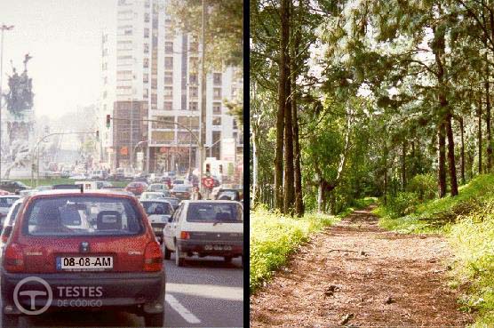 Pergunta IMT: O condutor tem um papel fundamental na preservação do meio ambiente?